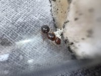 IMG_5553.jpeg