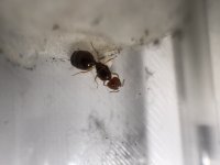IMG_5112.jpeg