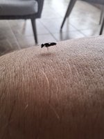 20250629_125300.jpg