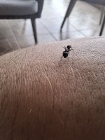 20250629_125258.jpg