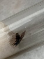 IMG_4020.jpeg