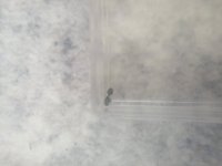 17512060165619162222082094867188.jpg