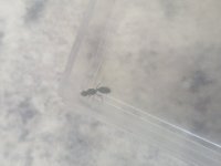 17512060841907623315067316415789.jpg