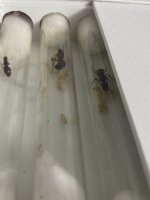 IMG_5372.jpeg