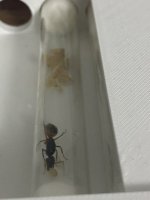 IMG_5377.jpeg