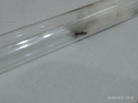 IMG-20250630-WA0002.jpg