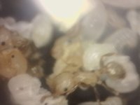 20250630-095345-313.jpg