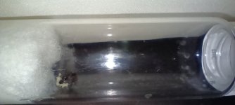 IMG_20250630_153804.jpg