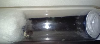 IMG_20250630_153802.jpg