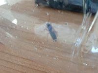 IMG_20250630_163718.jpg