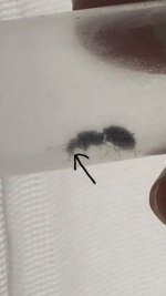 856D7A52-2B41-40AF-B66C-CABBC3E55FB8.jpeg