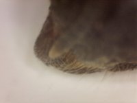 20250630-204022-783.jpg