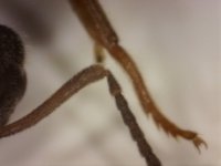 20250630-204104-884.jpg