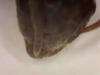 20250630-204236-781.jpg