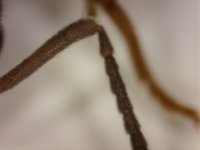 20250630-204300-030.jpg