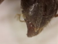 20250630-204456-085.jpg