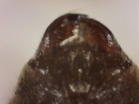 20250630-205425-707.jpg