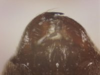 20250630-205647-965.jpg