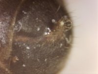 20250630-210226-208.jpg