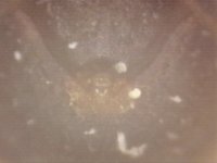 20250630-210330-461.jpg