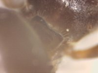 20250630-210454-742.jpg