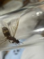 IMG_0431.jpeg