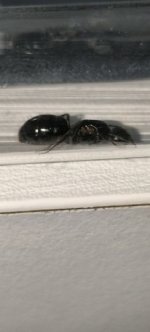 IMG_20250630_232637.jpg
