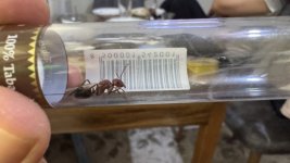 IMG_1711.jpeg