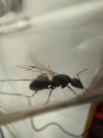 IMG_5882.jpeg