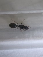 IMG_7397.jpeg