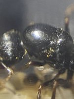 IMG_0383.jpeg