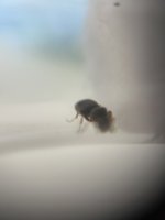 IMG_2180.jpeg