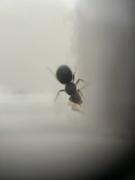 IMG_2181.jpeg