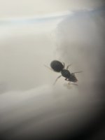 IMG_2182.jpeg