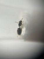 IMG_2183.jpeg