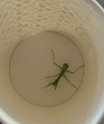 IMG_20250701_190222.jpg