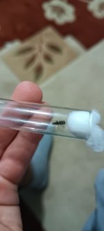 IMG_20250701_200851.jpg
