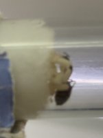 IMG_0436.jpeg