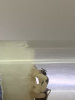 IMG_0435.jpeg