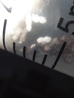 IMG_20250701_222437.jpg