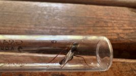IMG_1732.jpeg
