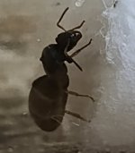 IMG_20250702_132544.jpg