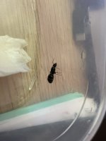 IMG_1978.jpeg