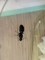 IMG_1977.jpeg