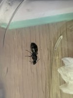 IMG_1976.jpeg