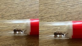IMG_1381.jpeg