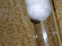IMG20250702164721.jpg