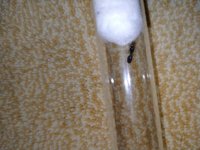IMG20250702164644.jpg