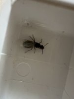 IMG_3252.jpeg