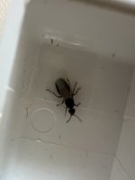 IMG_3253.jpeg